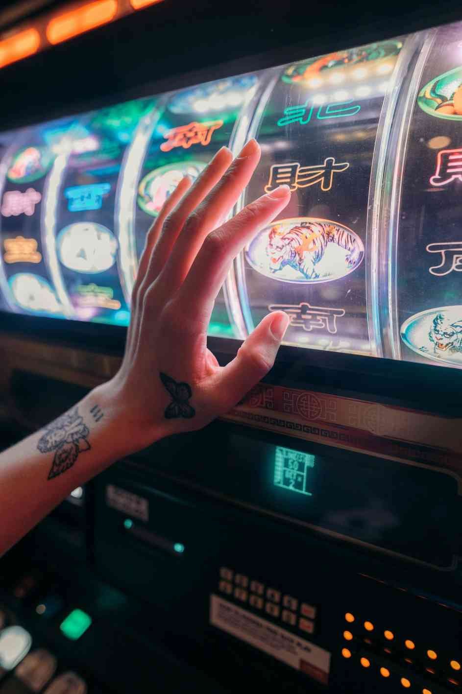 Cat casino online Cat casino online